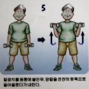 삼성병원에서 권유하는 시니어근력운동(아령포준교본) 이미지