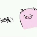 콩디
