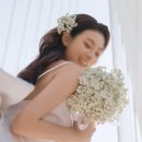 차이리