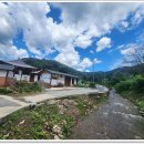 곡대서의펜션 | 천안펜션 촌캉스 제대로 즐기고 왔어요 곡대서의펜션 방문 후기