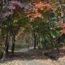 남태령옛길 이미지