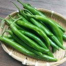 고추 - 여수시 여문문화2길 36 | 고추