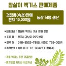 강남동-6 이미지