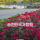 장미정원 | 전남 순천가볼만한곳 순천만국가정원 주차 장미 작약 실시간
