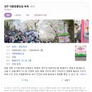 산마을길31 | 2026 꽃놀이 2탄 _ 경주 벚꽃 (대릉원 돌담길/오릉/교촌마을) + 부산 온천천 후기