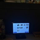 물개 | 부산 전포 횟집 '물개술방' 내돈내산 후기