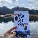 조은숲 | 영월 핫플 청령포 다녀왔어요 | 단종 유배지 성지순례 + 기분조은카페 간식 + 도테라 비즈니스 미팅 후기