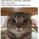 선이커피 이미지