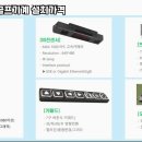 대덕스크린골프