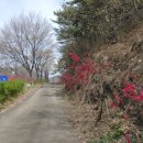 부남보건지소 네이버블로그