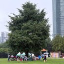 명상과 함께하는 힐링 요가 | 서울숲 요가페스티벌 원더러스트 2025 후기 — 비 오는 날 요가 오히려 힐링