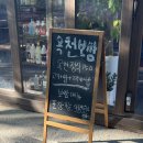 옥천 | [맛집] 경의선숲길맛집 공덕보쌈 ‘옥천보쌈’ 솔직후기