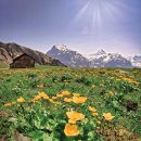 알프스뷔페 이미지