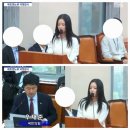 뉴진스 하니와 김주영대표 국정감사 발언들 정리 및 후기