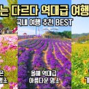 10월 국내 가고 싶은 여행지 추천 이미지