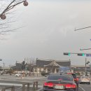 쉬즈미스전주