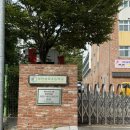 기타교실(주간) | [롱키의 학교생활]방과후 공개수업•스케이팅체험학습•향상음악회