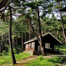 숲속의 집 이미지