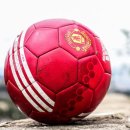 빨강다람쥐 | 빨강다람쥐 창업, 양재시민의숲점 방문 후기에서 발견한 떡볶이·쭈꾸미 프랜차이즈의 성공 비결과 비용...