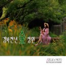 천년숲 이미지