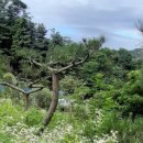 영훈 농장 이미지