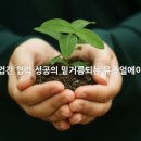 인터네셔널에이피 이미지