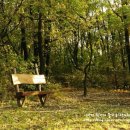 나팔꽃한의원 이미지