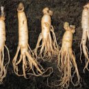 장수당한의원 이미지