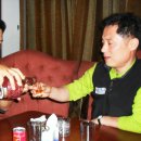 부산갈메기 이미지