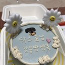 댕스기빙데이 이미지