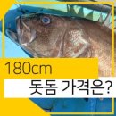 돔낚시가좋아