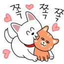 카니코리아 이미지