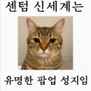 푸라닭(센텀점) | [센텀 신세계 팝업] 린바오×정지선 딤섬빵 내돈내산 솔직 후기_팝마트와 고디바 베이커리 오픈 정보