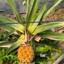 산너머그집 이미지