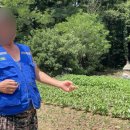 심정농장 이미지