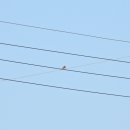 낙동강변11 이미지