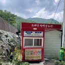 절골길민박 | 전남 순천 아이와 물놀이하기 좋은 곳 - 조계산 편백골 산골 농원
