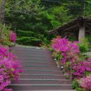 싸리치펜션 이미지