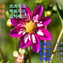 국정원, ‘원훈석 교체 직권남용’ 박지원 수사 의뢰 - 조선일보 (chosun.com)﻿ 이미지