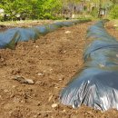 스토리벨리펜션 이미지