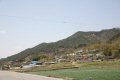 산동면 월산마을 Daum카페
