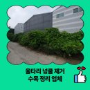 마도공단로 5길 | 울타리 넝쿨 제거 수목 정리 업체