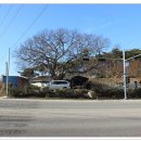 와룡마을 이미지