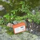 백운산 텃골 팬션 이미지