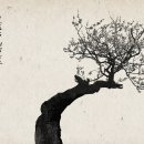 백옥당 - 북구 서림로 154 | 백옥당