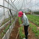 성희농장 이미지