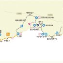 올레길 - 서귀포시 일주서로43번길 8-4 | 올레길