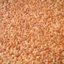 누렁지 | 구수한누룽지 추천, 집에 두면 자꾸 손가는 다인 황금누룽지 후기