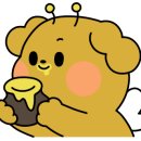 오렌지펜션 이미지