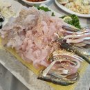 해뜰날 | [용봉동횟집] 광주 대표 횟집 &#39;해뜰날1호점 본점&#39; 방문 후기
